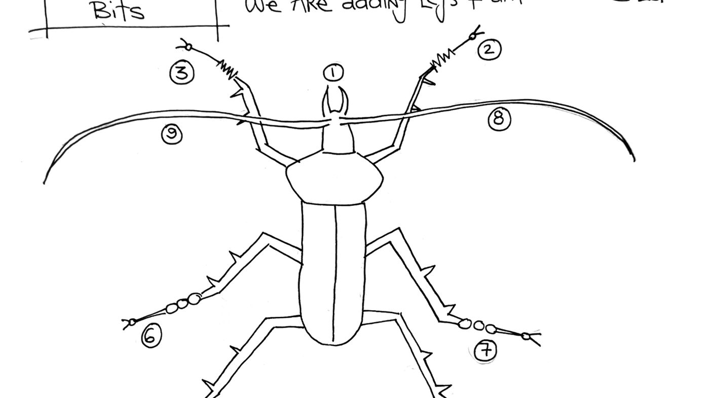 Long horned Alpine beetle Part 2 - The crawlie bits